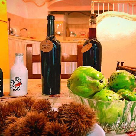 Апартаменты Casa Ele - Casa Indipendente Con Cucina - Bikes Friendly Сассари Экстерьер фото